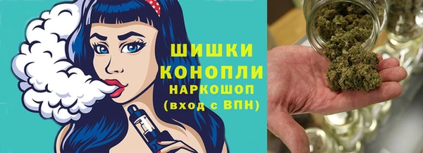 твердый Арсеньев