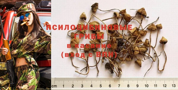 каннабис Заполярный