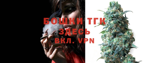 твердый Арсеньев