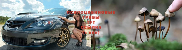 МДПВ Армянск