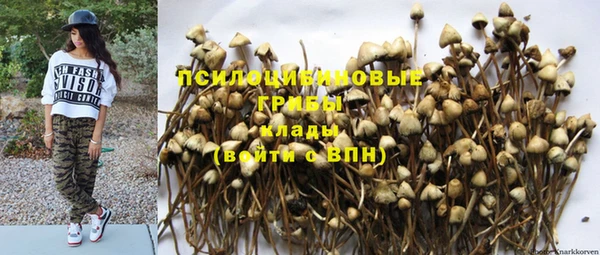 твердый Арсеньев