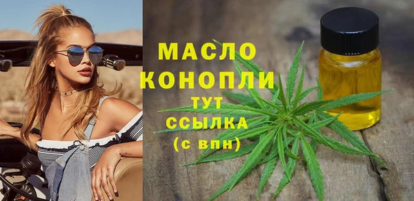 твердый Арсеньев