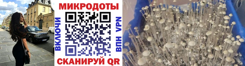 Галлюциногенные грибы мухоморы  Верещагино 